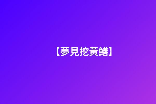 【夢見挖黃鱔】