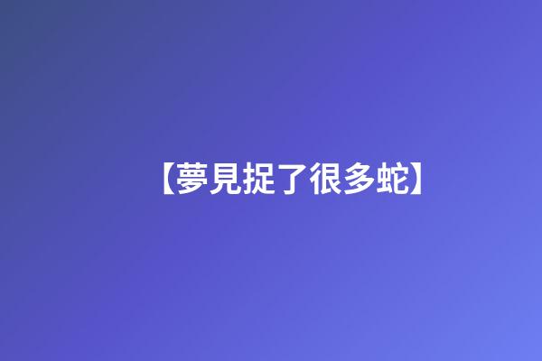 【夢見捉了很多蛇】