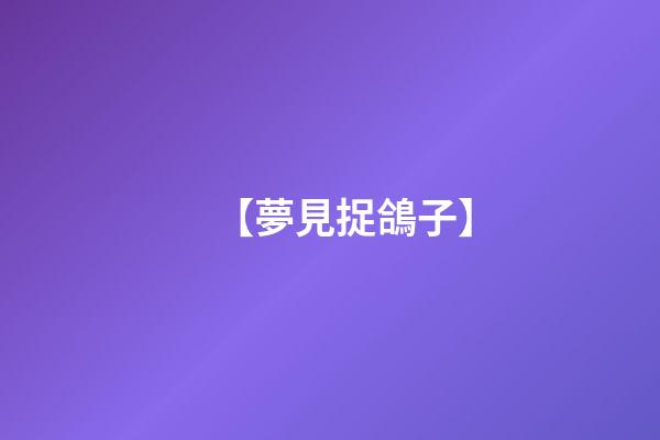 【夢見捉鴿子】