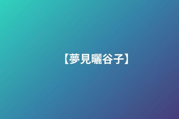 【夢見曬谷子】