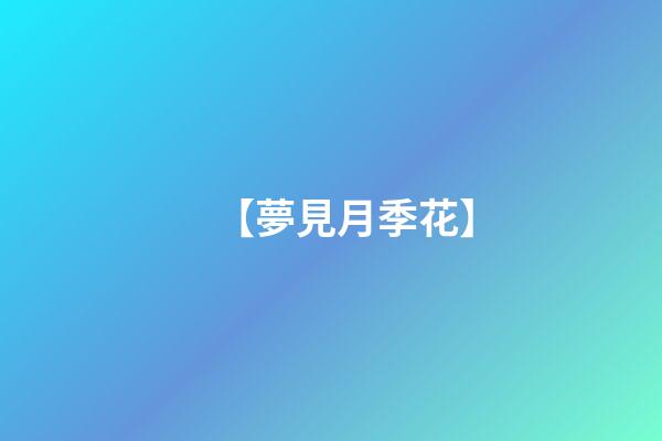 【夢見月季花】