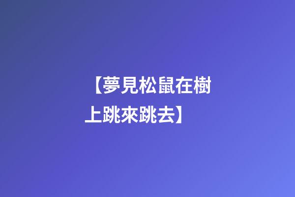 【夢見松鼠在樹上跳來跳去】
