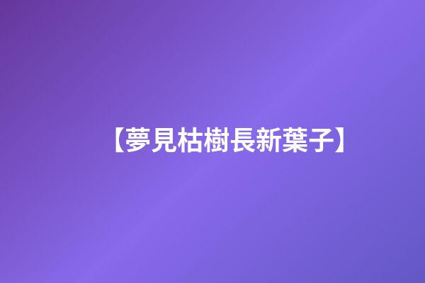【夢見枯樹長新葉子】