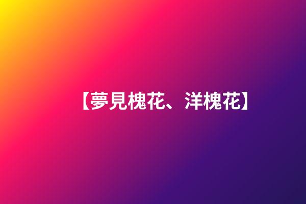 【夢見槐花、洋槐花】
