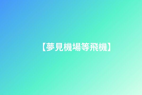 【夢見機場等飛機】