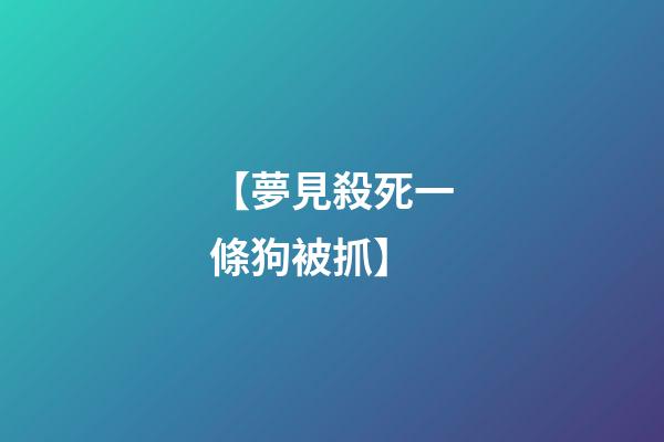 【夢見殺死一條狗被抓】