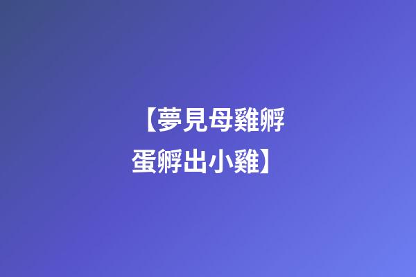 【夢見母雞孵蛋孵出小雞】