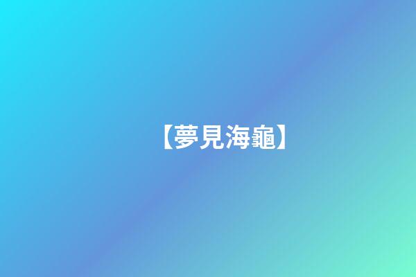 【夢見海龜】