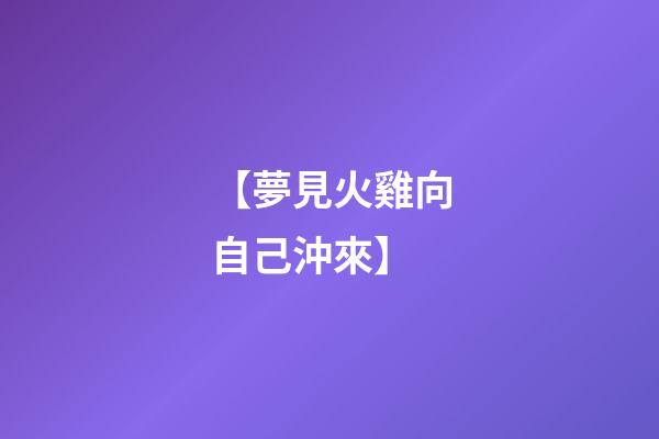 【夢見火雞向自己沖來】