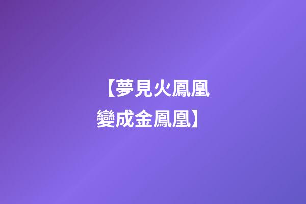 【夢見火鳳凰變成金鳳凰】