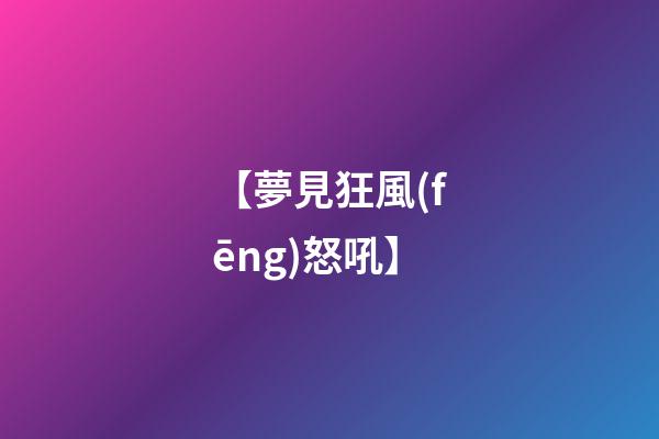 【夢見狂風(fēng)怒吼】