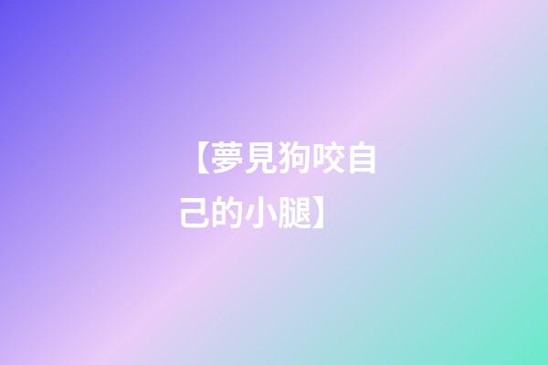 【夢見狗咬自己的小腿】