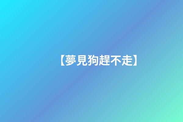 【夢見狗趕不走】