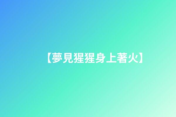 【夢見猩猩身上著火】