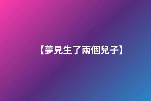 【夢見生了兩個兒子】