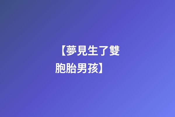 【夢見生了雙胞胎男孩】