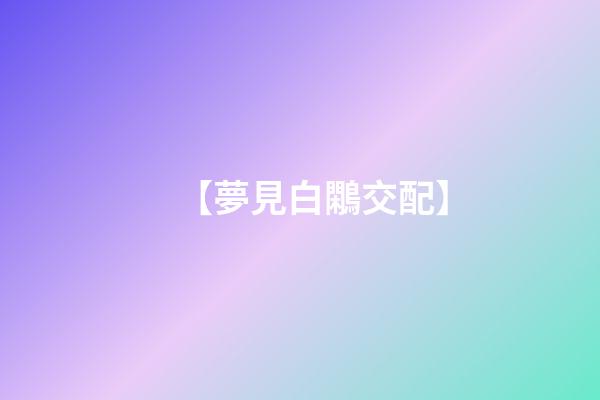 【夢見白鷴交配】