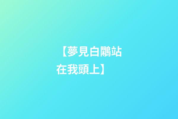 【夢見白鷴站在我頭上】