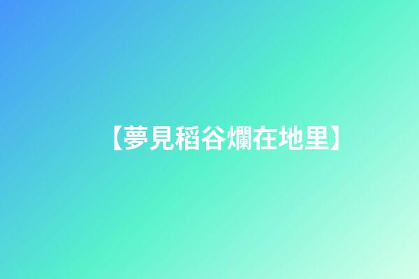 【夢見稻谷爛在地里】
