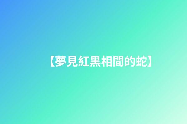 【夢見紅黑相間的蛇】