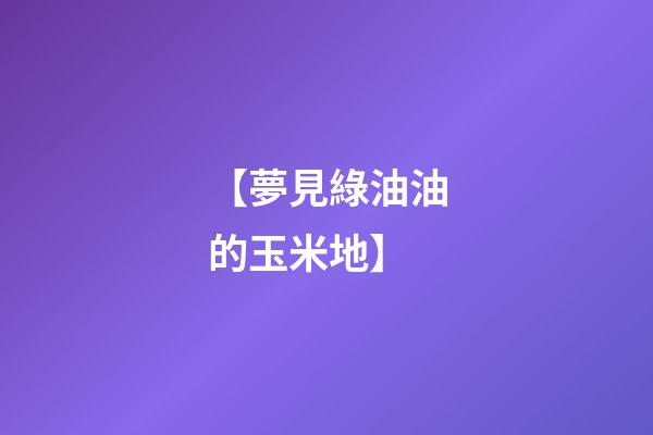 【夢見綠油油的玉米地】