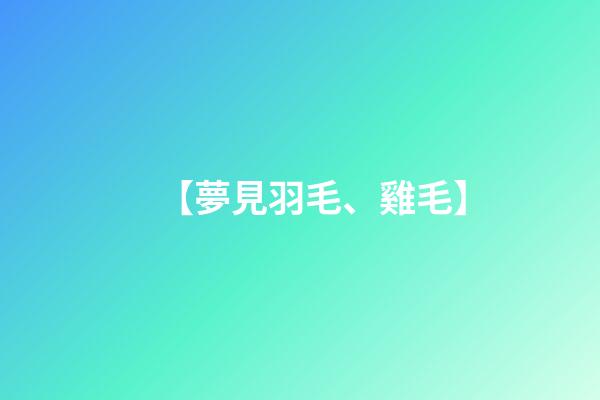【夢見羽毛、雞毛】