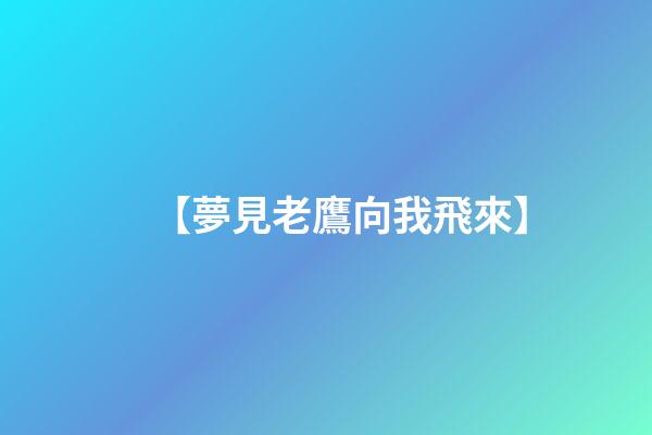 【夢見老鷹向我飛來】