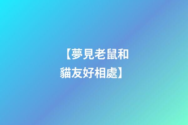 【夢見老鼠和貓友好相處】