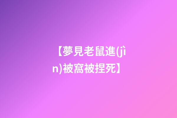 【夢見老鼠進(jìn)被窩被捏死】