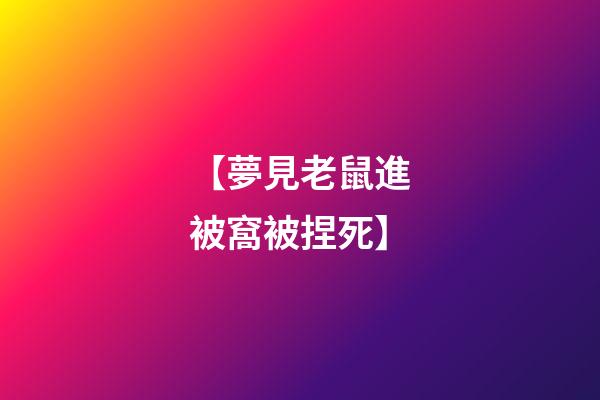 【夢見老鼠進被窩被捏死】