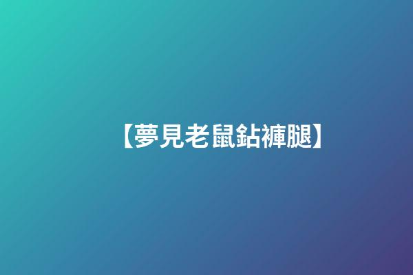 【夢見老鼠鉆褲腿】