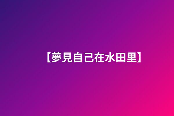 【夢見自己在水田里】
