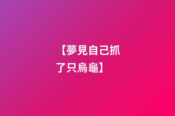 【夢見自己抓了只烏龜】