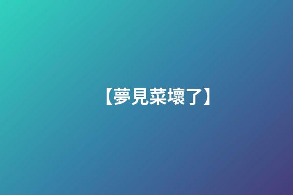 【夢見菜壞了】