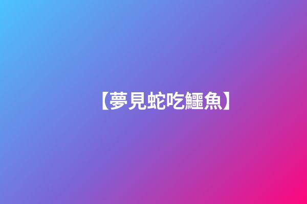 【夢見蛇吃鱷魚】
