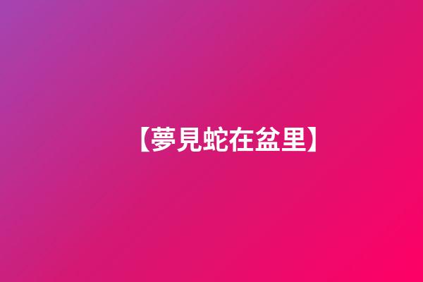【夢見蛇在盆里】