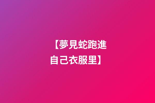 【夢見蛇跑進自己衣服里】