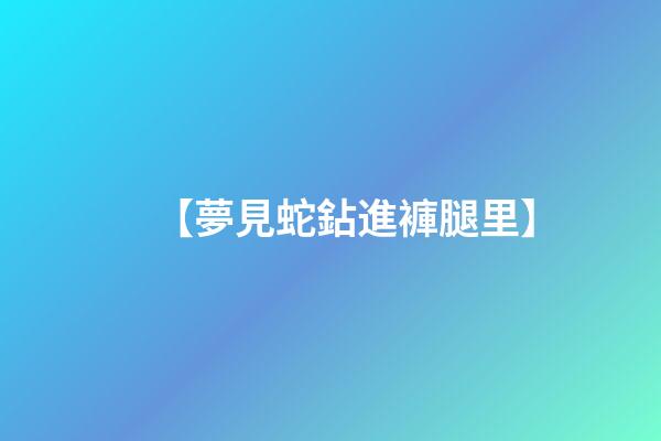 【夢見蛇鉆進褲腿里】