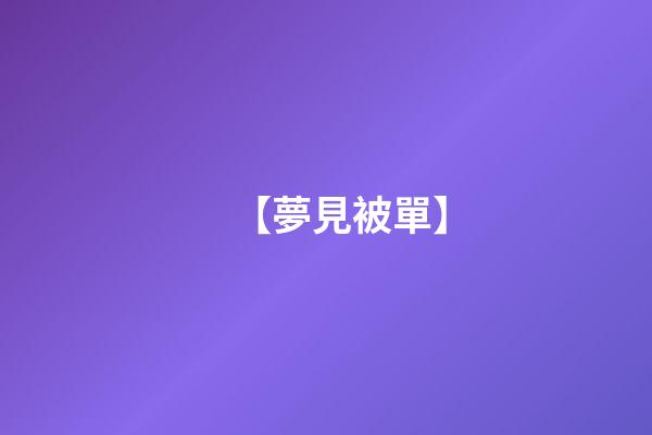 【夢見被單】