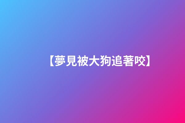 【夢見被大狗追著咬】