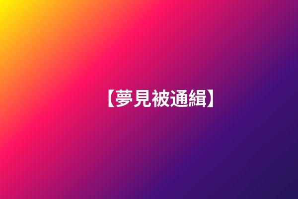 【夢見被通緝】