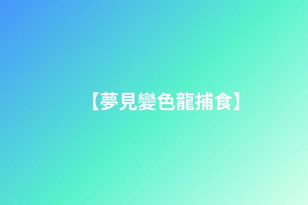 【夢見變色龍捕食】