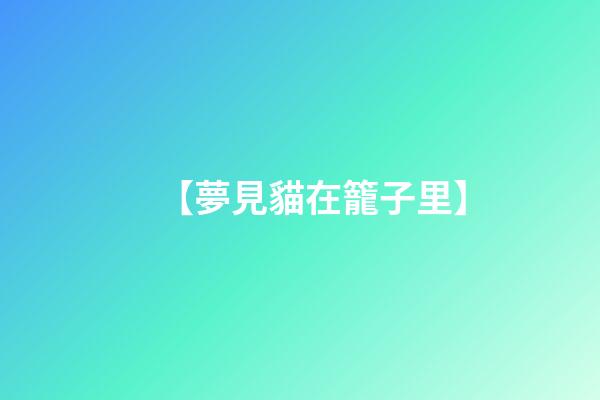【夢見貓在籠子里】