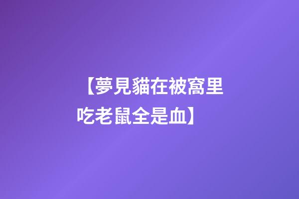 【夢見貓在被窩里吃老鼠全是血】