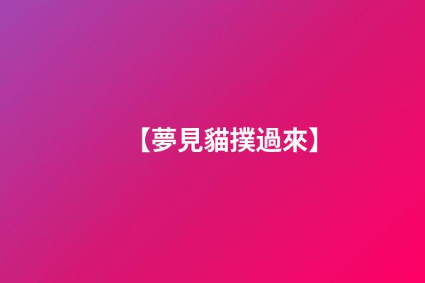 【夢見貓撲過來】