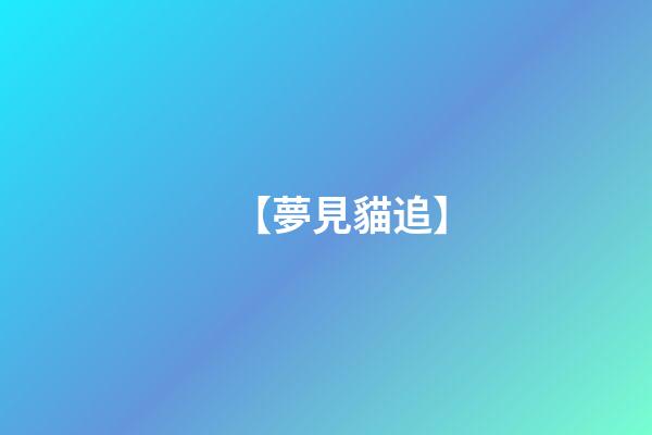 【夢見貓追】