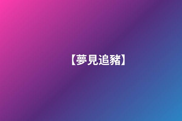 【夢見追豬】