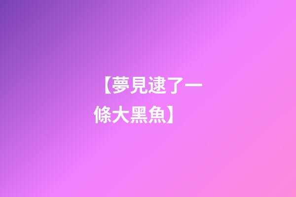 【夢見逮了一條大黑魚】