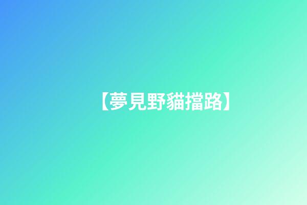 【夢見野貓擋路】