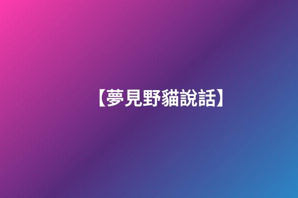 【夢見野貓說話】